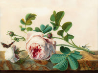 Stunning Still Life Oleograph on Canvas - A Sprig of Roses on a Marble Ledge