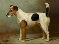 Beautiful Oleograph on Canvas - Tan & White Jack Russell Terrier in a Stable