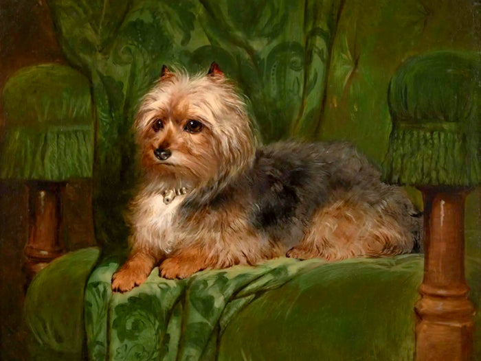 Ornate Framed Oleograph on Canvas - Terrier on a Green Velvet Cushion