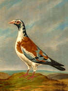 Gilt Framed Oleograph of a "Trooper Pigeon" in a Rural Landscape