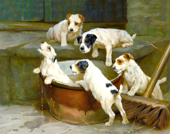Fine Oleograph on Canvas - Jack Russell puppies - Bath Time