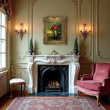 Fine Gilt Framed Oleograph Campaign Portrait of Arthur Wellesley - The Duke of Wellington