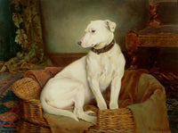 Gilt Framed Oleograph - Portrait of a Terrier in its Basket