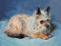 Beautiful Oleograph on Canvas - Portrait of a Yorkshire Terrier