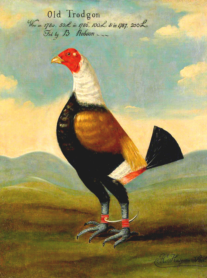 Gilt Framed Oleograph of a Game Cock 