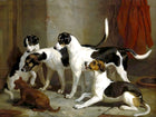 Gilt Framed Oleograph - Puckeridge Foxhounds