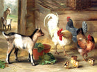 Gilt Framed Oleograph of Goats & Chickens