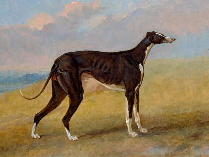 Gilt Framed Oleograph of the Greyhound 