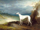 Fine Oleograph on Canvas - A White Greyhound in an extensive Landscape