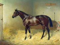 Superb Oleograph on Canvas of The Racehorse "Pearl Diver" in a Stable