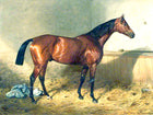 Oleograph on Canvas of Horse in a Stable by Emile Adam