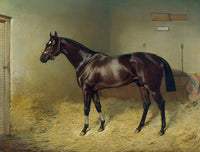 Oleograph on Canvas of The Racehorse "Pearl Diver" in a Stable