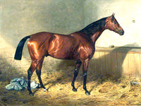 Oleograph on Canvas of Horse in a Stable by Emile Adam