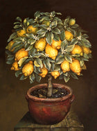 Exquisite Oleograph on Canvas Still Life of a Lemon Tree