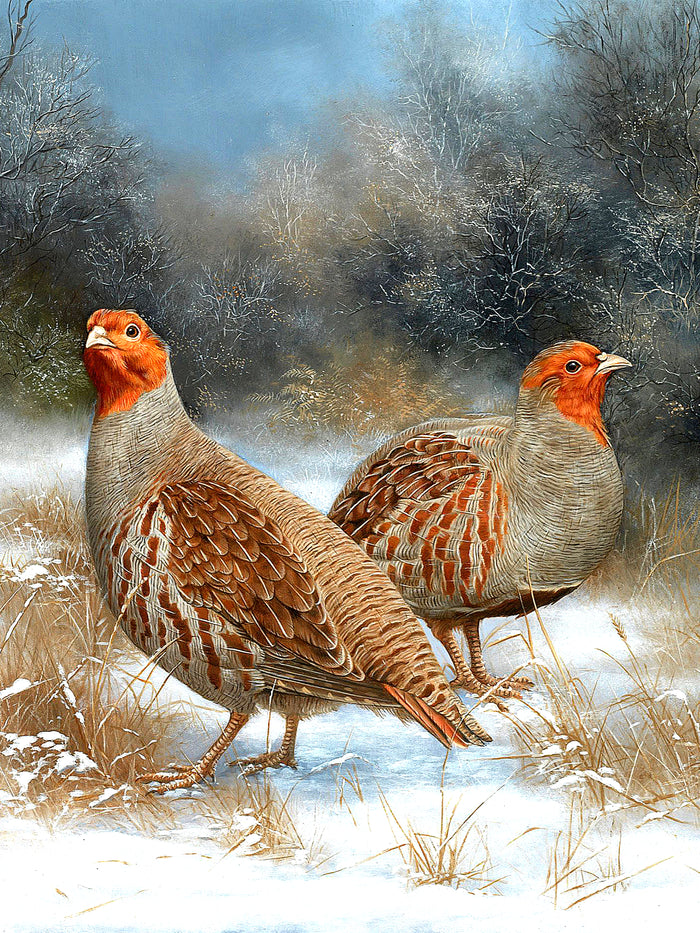 Beautiful Lithograph on Canvas of a Partridges in a Snowy Rural Landscape