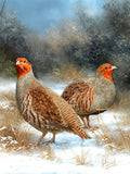 Beautiful Lithograph on Canvas of a Partridges in a Snowy Rural Landscape