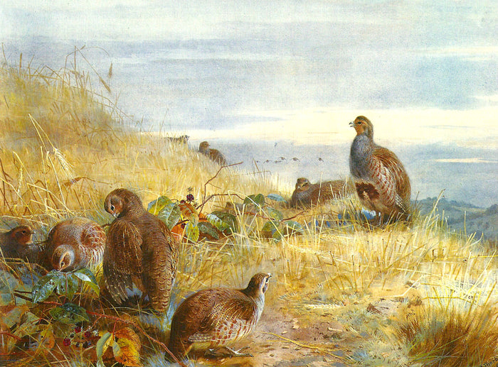 Fine Large Oleograph on Canvas of a Partridges in an extensive Landscape
