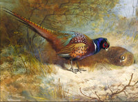 Fine Lithograph on Canvas - A Cock & Hen Pheasant in Woodland  aft.Thorburn