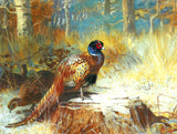 Fine Oleograph on Canvas depicting a Cock Pheasant on a Tree Stump