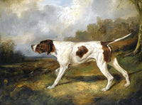 Fine Oleograph on Canvas of an English Pointer "On Point"