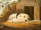 Fine Oleograph on Canvas Portrait of a Prize Pig in a Rural Stable Yard