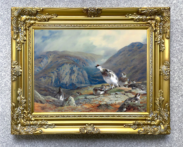Ptarmigan in the Highlands- Fine Lithograph on Canvas aft. Thorburn