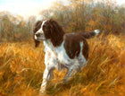 Gilt Framed Oleograph of  a Springer Spaniel in a Rural Landscape