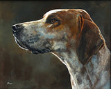 Vintage Oil on Board of a Foxhound - Sold