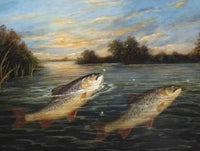 Fine Angling Oleograph of Brown Trout rising