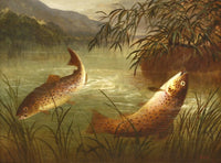 Fine Angling Oleograph on Canvas - Pair of Brown Trout