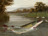 Fine Angling Oleograph on Canvas - "Pike Feeding"