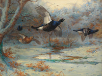 Fine Large Oleograph on Canvas of Black Game in Flight