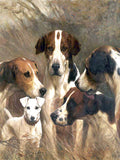 Gilt Framed Oleograph of a group of Hounds