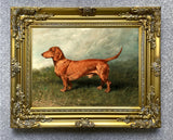 Fine Oleograph on Canvas of a Tan Dachshund