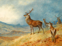 Gilt Framed Oleograph of Red Deer in a Highland Landscape