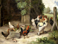 Fine Lithograph on Canvas - Chickens & Bantams in a Yard aft. Edgar Hunt