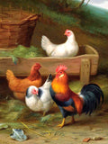 Fine Oleograph on Canvas of a Cockerel & Hens in a Yard