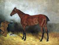 Fine Oleograph on Canvas of a Hunter in a Stable aft. John Emms