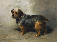 Fine Lithograph on Canvas of a Brown & Tan Dog aft. John Emms