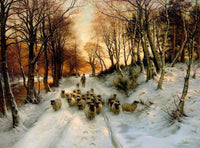 Stunning Oleograph on Canvas of Sheep at Twilight after Farquharson