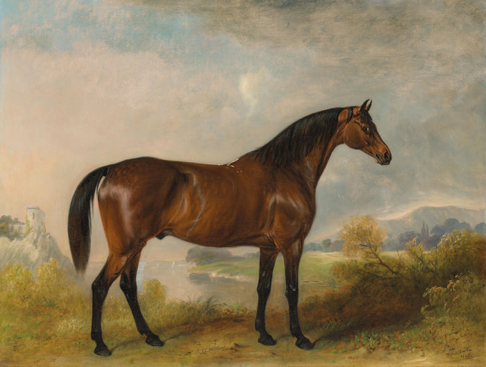 Oleograph on Canvas of the Bay Hunter 