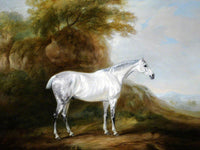 Fine Oleograph on Canvas - Dapple Grey Hunter in a Landscape aft. Ferneley