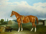 Fine Oleograph on Canvas - Saddled Horse with a Dog aft. John Ferneley