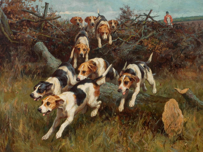 Fine Framed Oleograph of Foxhounds 