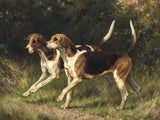 Gilt Framed Oleograph - A Pair of Foxhounds after Thomas Blinks