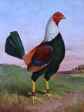 Gilt Framed Oleograph of a "Champion Gamecock" in a Rural Landscape