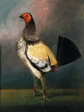 Fine Gilt Framed Oleograph of a "Champion Gamecock" in a Rural Landscape