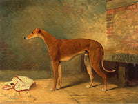 Gilt Framed Oleograph -  The Champion Greyhound "Dodger"