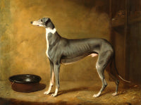 Fine Oleograph on Canvas - Champion Greyhound in a Stable