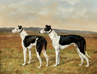 Gilt Framed Oleograph of a Pair of Black & White Greyhounds